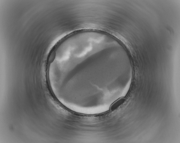 X0000111021120200907171849