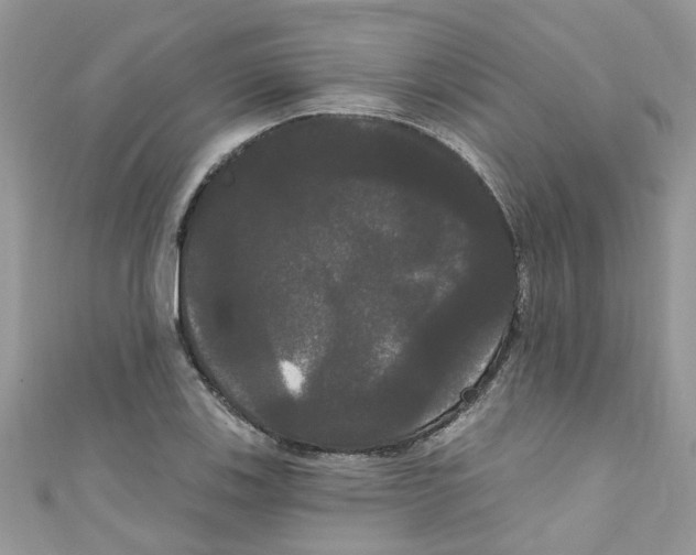 X0000111021123200907171849