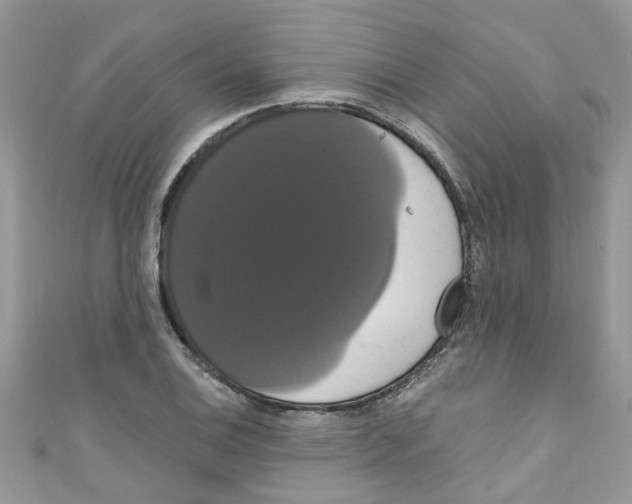 X0000111021124200907171849