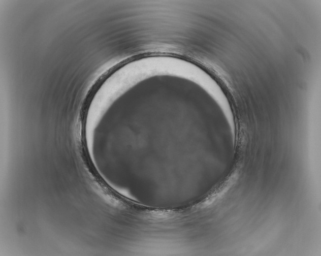 X0000111021125200907171849