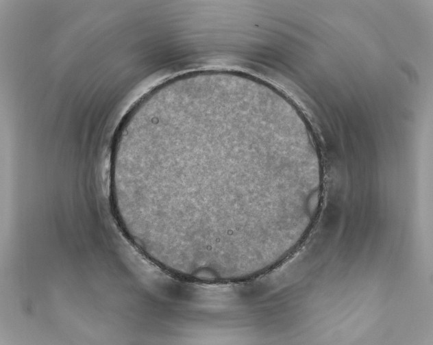 X0000111021126200907171849