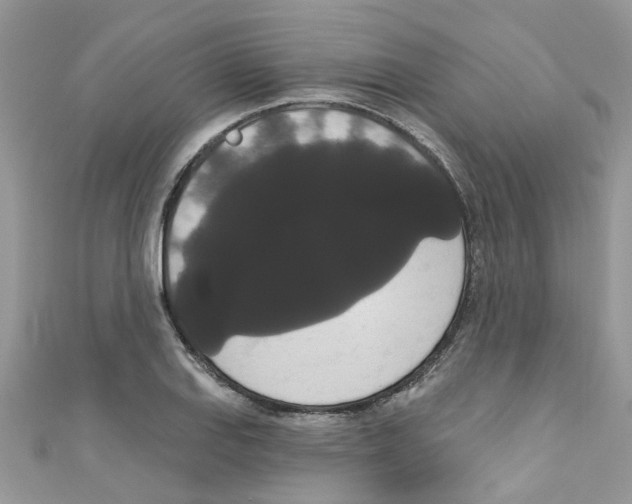X0000111021127200907171849