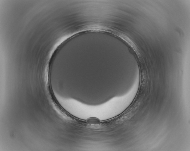 X0000111021128200907171850