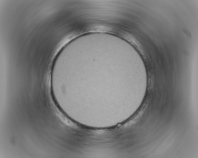 X0000111021130200907171850