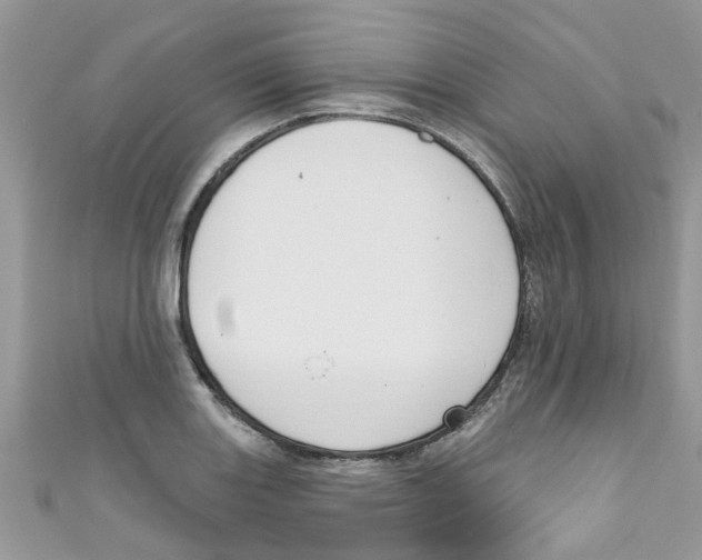 X0000111021131200907171850