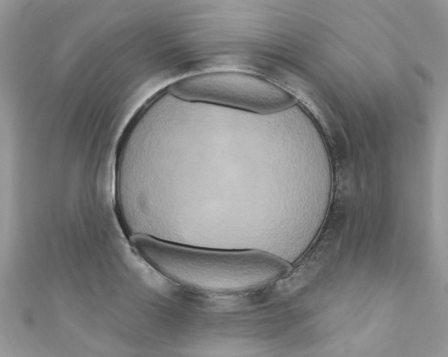X0000111021132200907171850