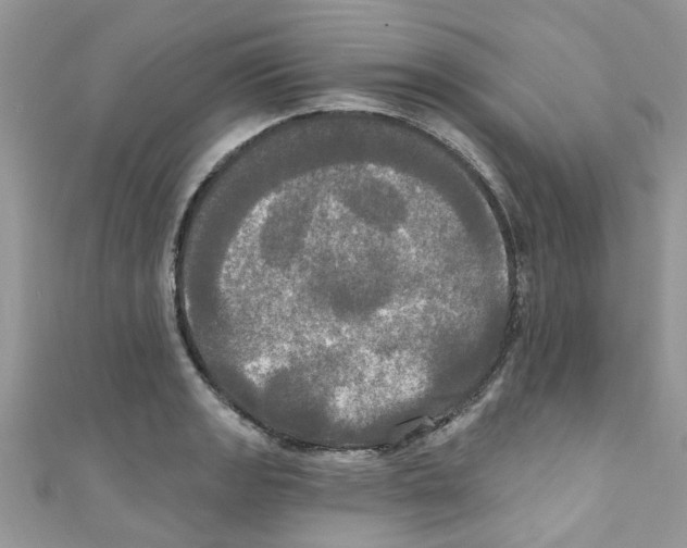 X0000111021133200907171850