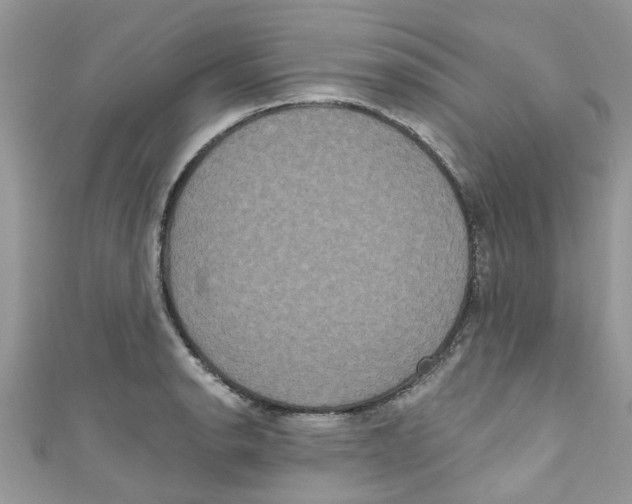 X0000111021134200907171850