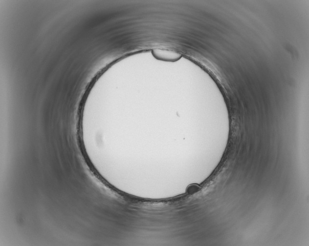 X0000111021135200907171850