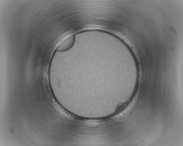 X0000111021137200907171850