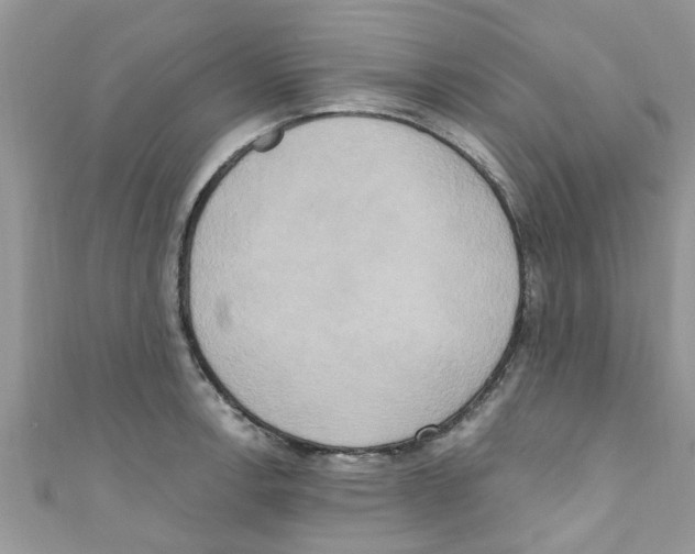 X0000111021138200907171850