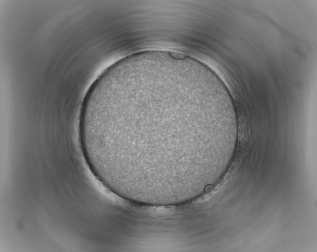 X0000111021139200907171850