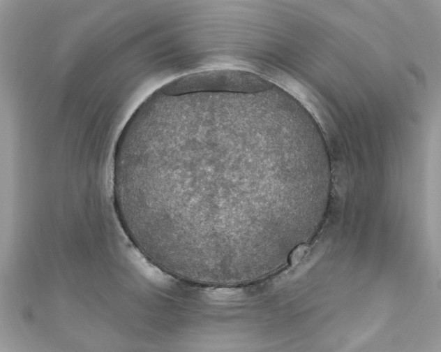 X0000111021140200907171850