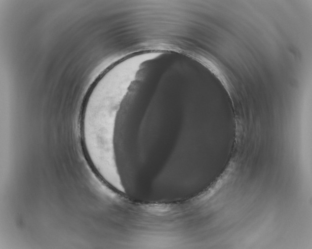 X0000111021141200907171850