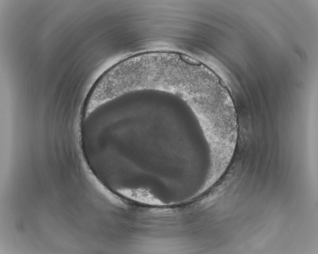 X0000111021142200907171850