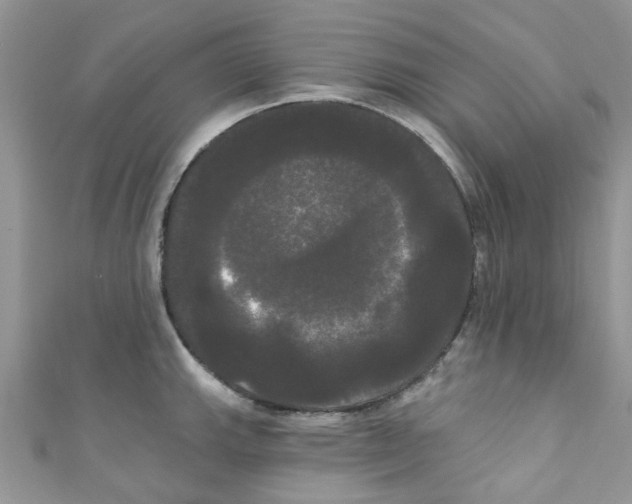 X0000111021143200907171850