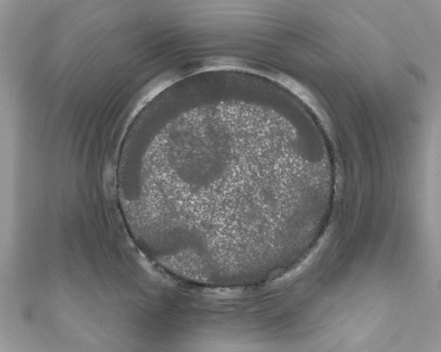 X0000111021145200907171850