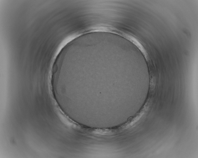 X0000111021146200907171850