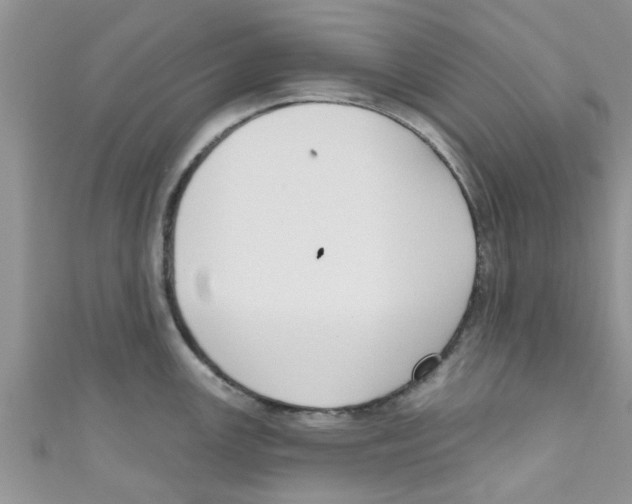X0000111021147200907171850