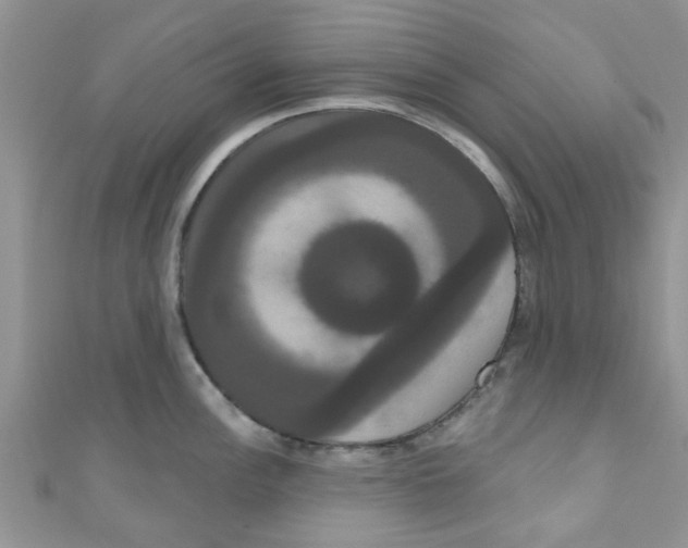 X0000111021148200907171850