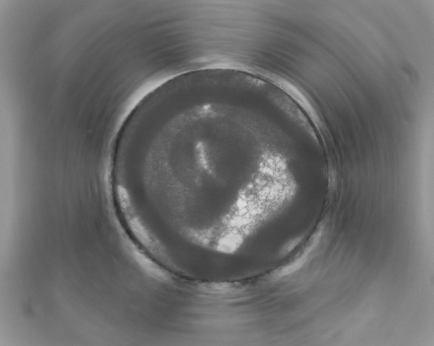 X0000111021149200907171850
