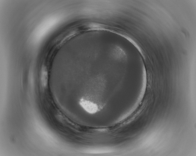 X0000111021151200907171850
