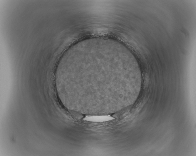 X0000111021153200907171849