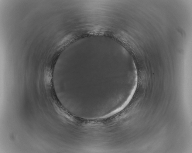 X0000111021154200907171849