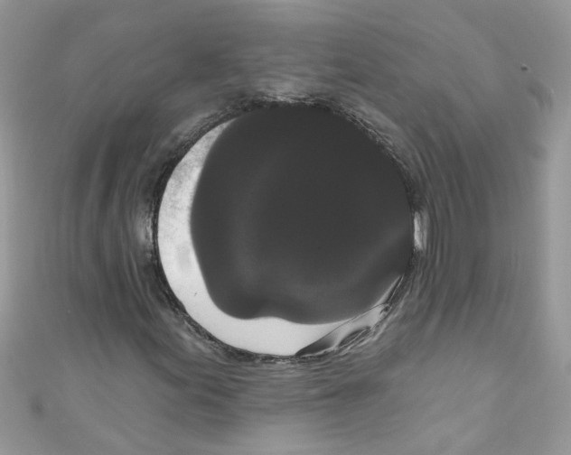 X0000111021155200907171849