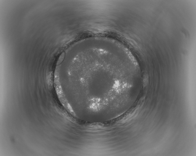 X0000111021156200907171849