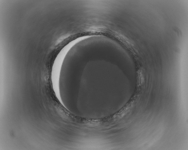X0000111021158200907171849