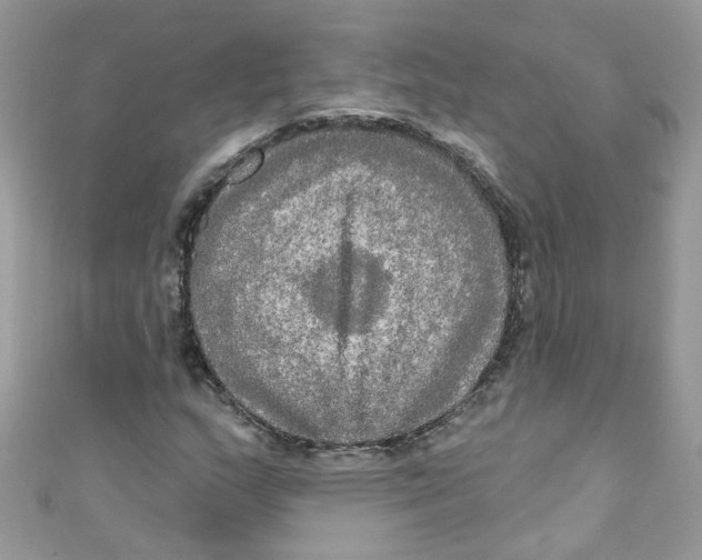 X0000111021159200907171849