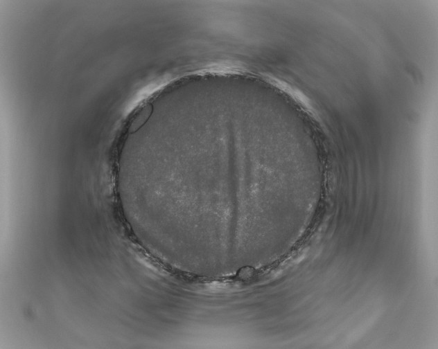 X0000111021160200907171849