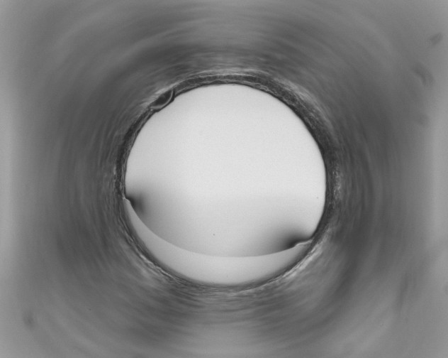 X0000111021161200907171849