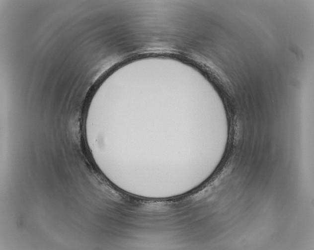 X0000111021162200907171849