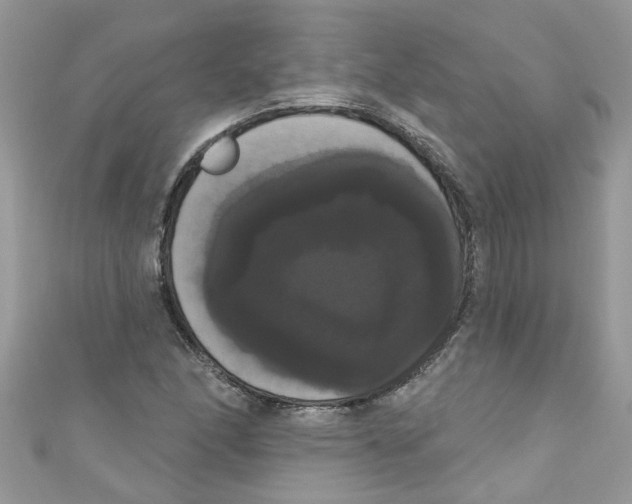 X0000111021166200907171849