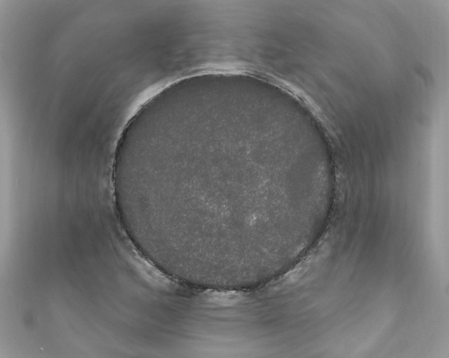 X0000111021168200907171849