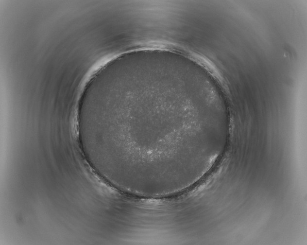 X0000111021172200907171849