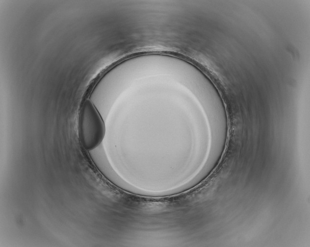 X0000111021173200907171849