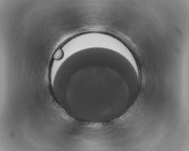 X0000111021174200907171849