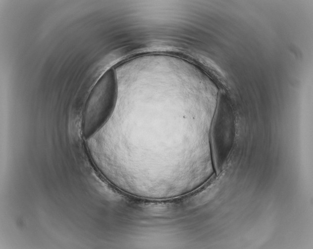 X0000111021177200907171849
