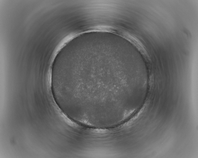 X0000111021180200907171849