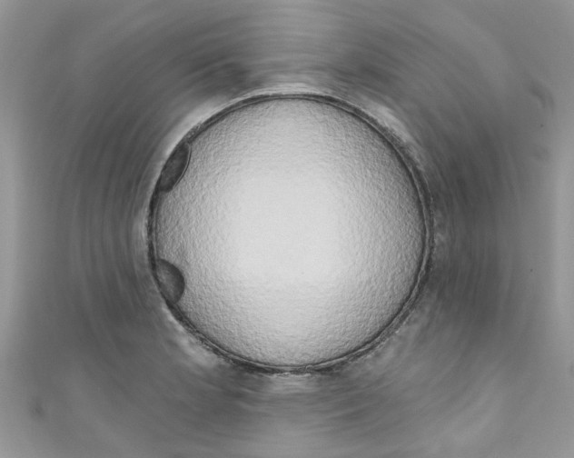 X0000111021181200907171849