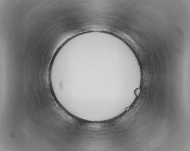 X0000111021182200907171849