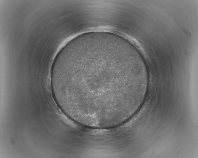 X0000111021184200907171849