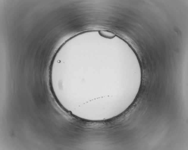 X0000111021187200907171849
