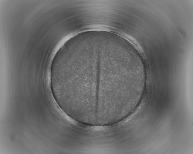 X0000111021188200907171849