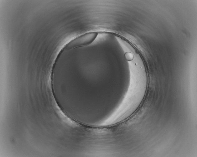 X0000111021189200907171849