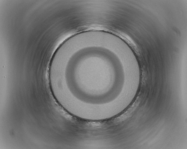 X0000111021190200907171849