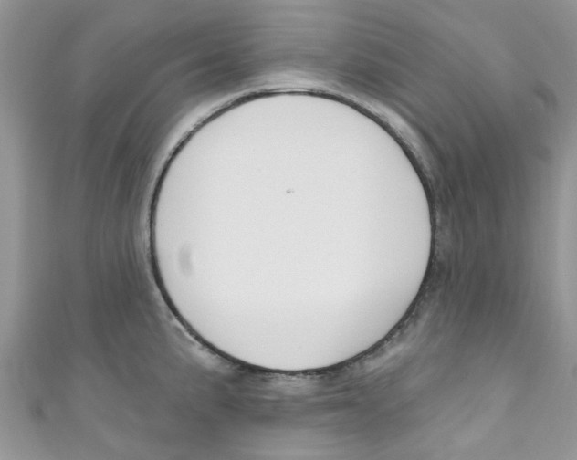 X0000111021191200907171849